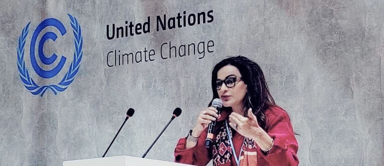 Minister Sherry Rehman addresses UNFCC event on achieving carbon neutrality in the Asia-Pacific region in Sharm El-Sheikh, Egypt.