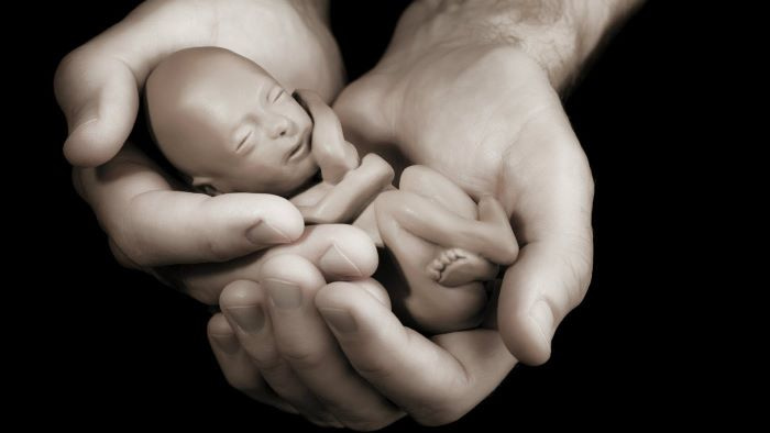 Understanding the controversy around abortion 4